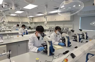 Medical Laboratory Training — Scientific Foundations, Operational Mechanisms, and Analytical Context